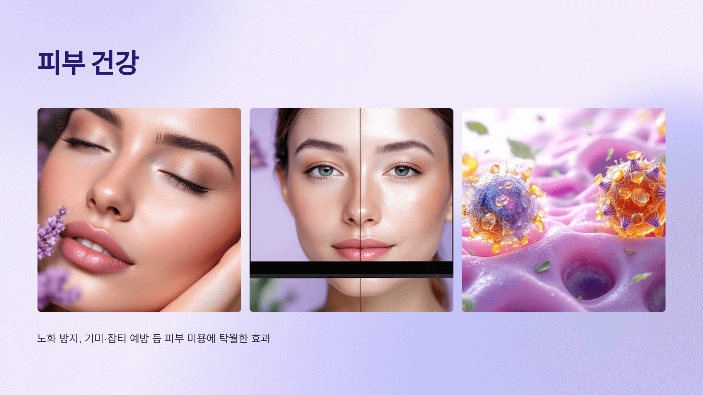 오디 사진입니다.