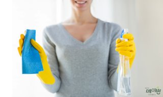 천연곰팡이제거제