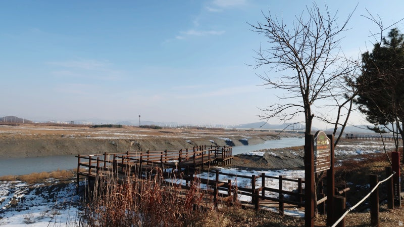 인천 남동구 반려견 겨울 나들이 명소, 강아지와 함께 걷기 좋은 산책 코스
