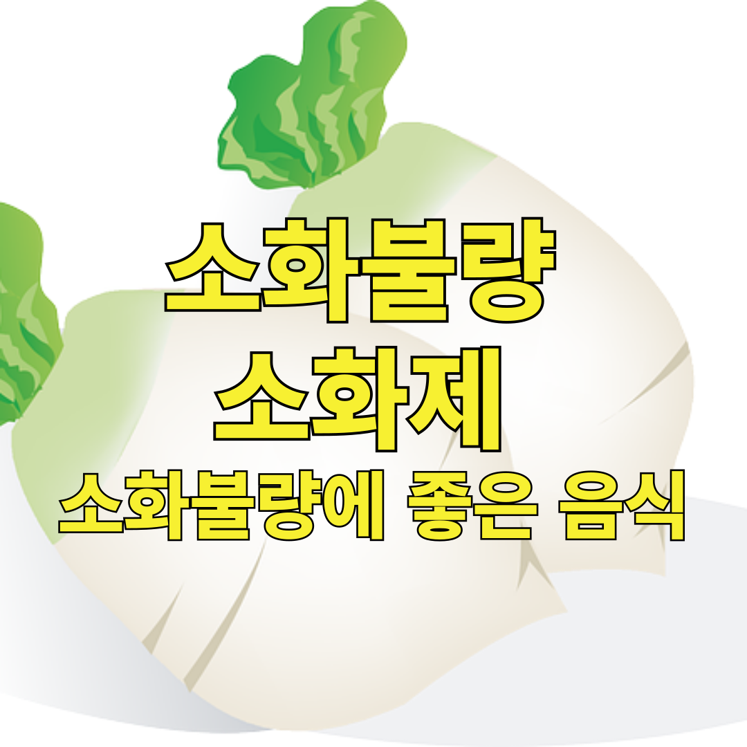 소화불량과 소화제, 소화불량에 좋은 음식