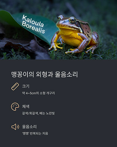 둥글고 단단한 체형, 저음의 울음