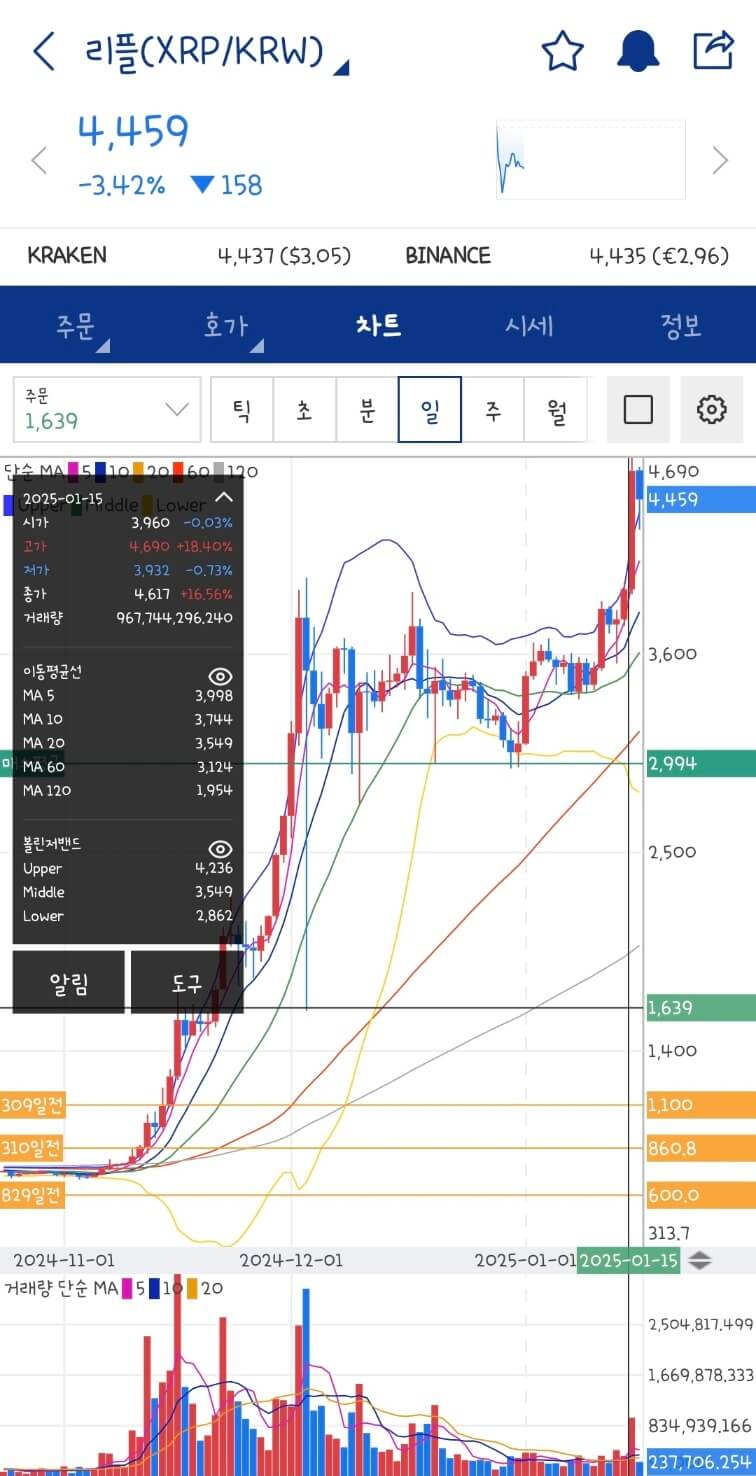 리플 코인 떡상