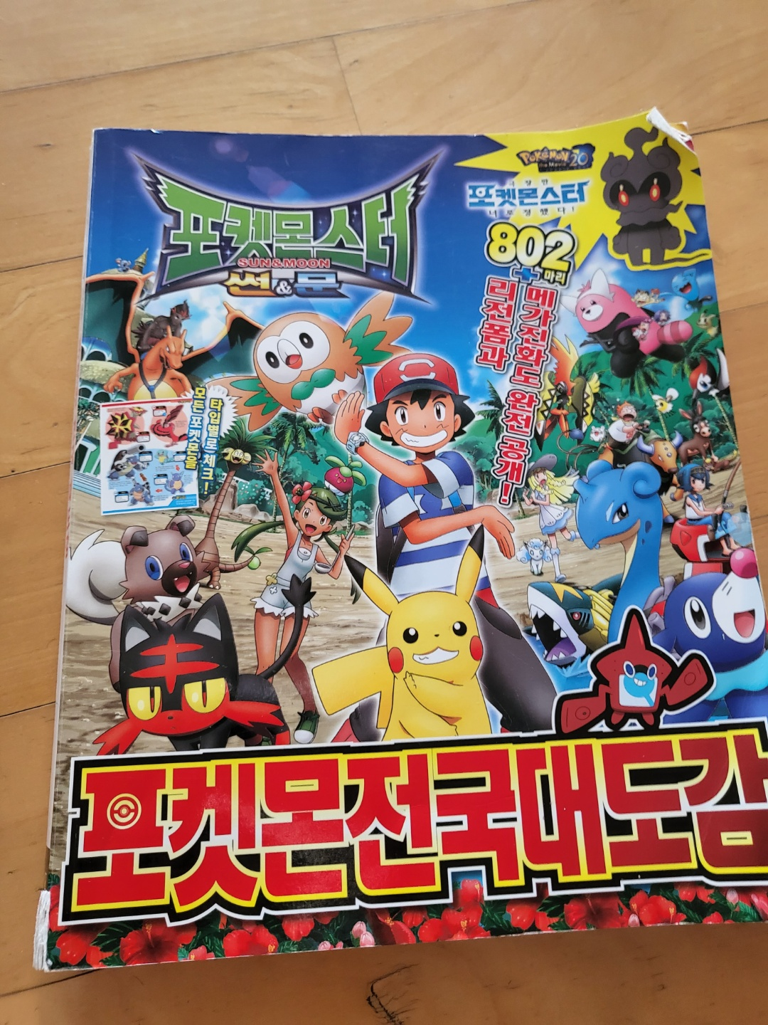 포켓몬전국대도감