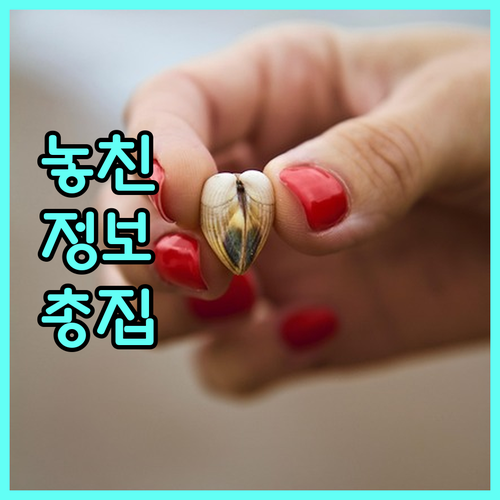 리프팅 후 붓기, 빠른 회복을 위한 