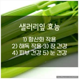 샐러리 효능 알고 먹는법 잎 생으로 손질법 요리_24