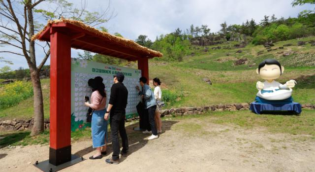 2025 화순 봄꽃 축제