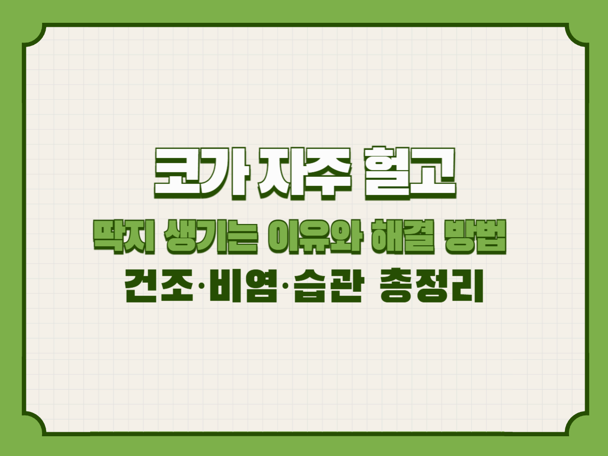 코가 자주 헐고 딱지 생기는 이유와 해결 방법 – 건조·비염·습관 총정리