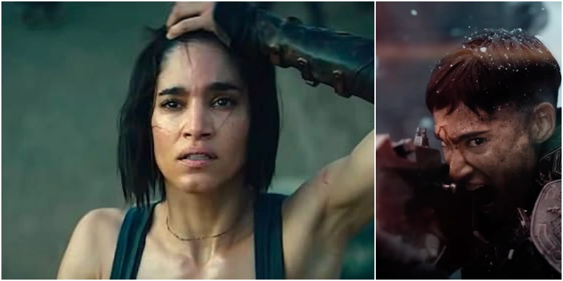 절망하고 있는 레벨 문의 코라