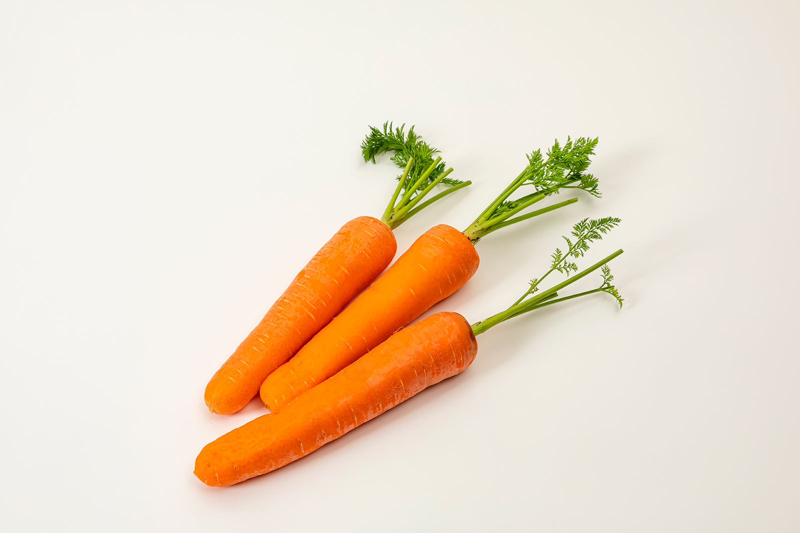 당근의 효능효과