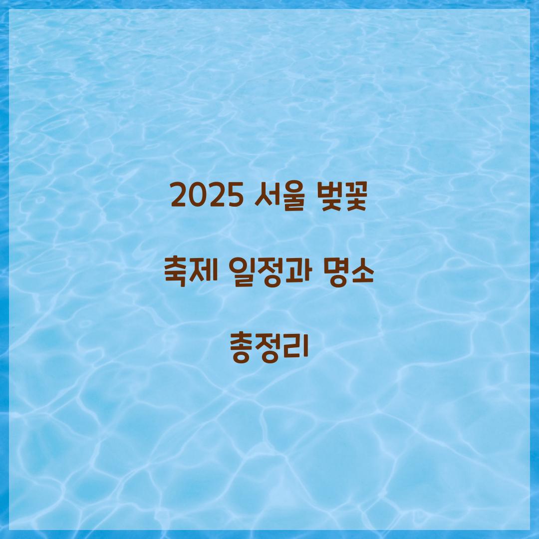 벚꽃 축제