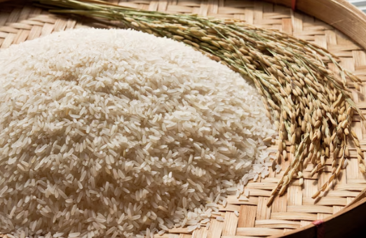 식량 안보 문제 – 기후 변화로 인한 글로벌 식량 공급 위기