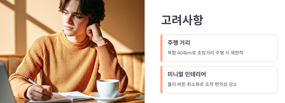 구매 전 고려해야 할 단점