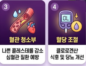 아로니아 효능