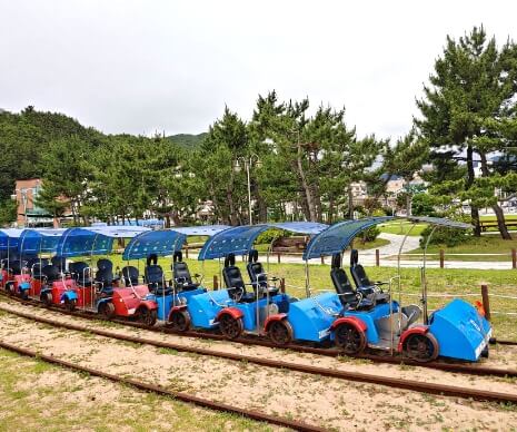 강릉 여행 추천 코스