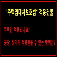 이미지 내용 없음