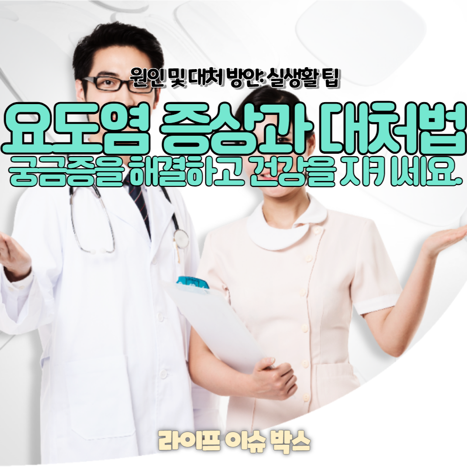 요도염 증상과 대처법을 포괄적으로 다루는 가이드