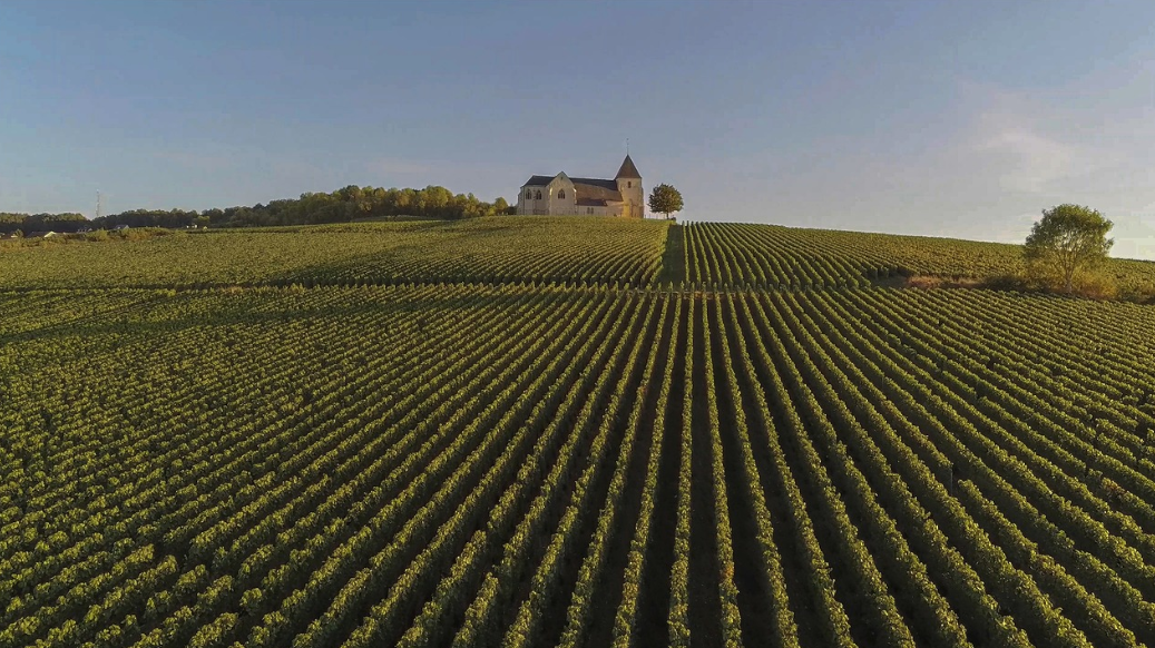 프랑스 와이너리