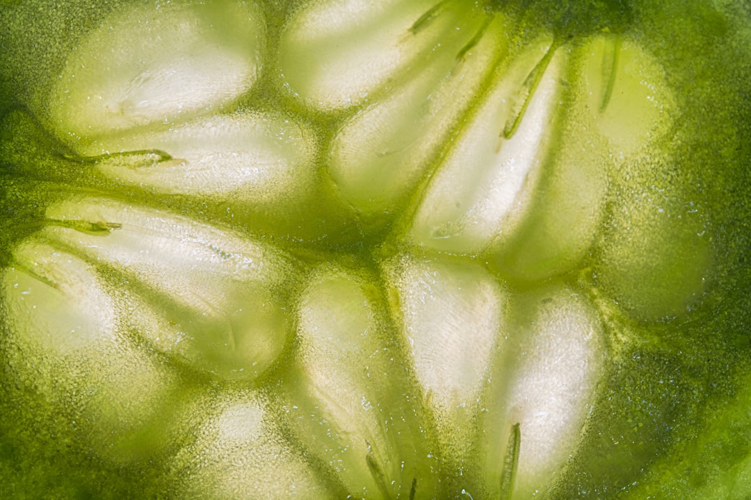 pickled napa cabbage