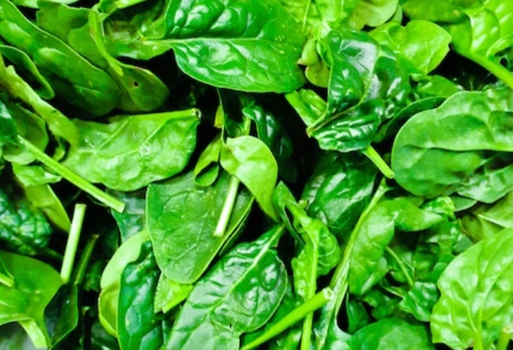 통풍에 좋은 음식