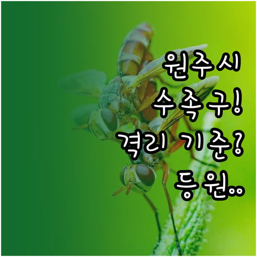 원주시 수족구 격리 기준과 등원 가능..