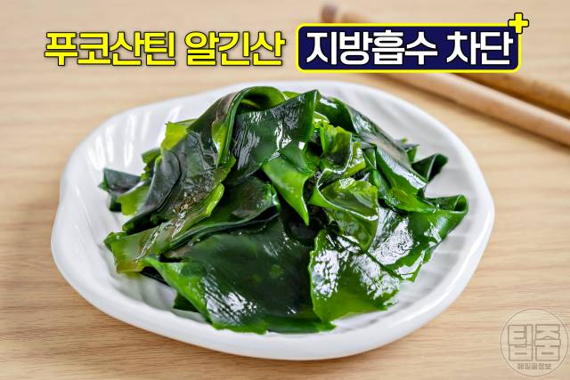 복부지방 빼는법 복부지방 태우는 음식 미역