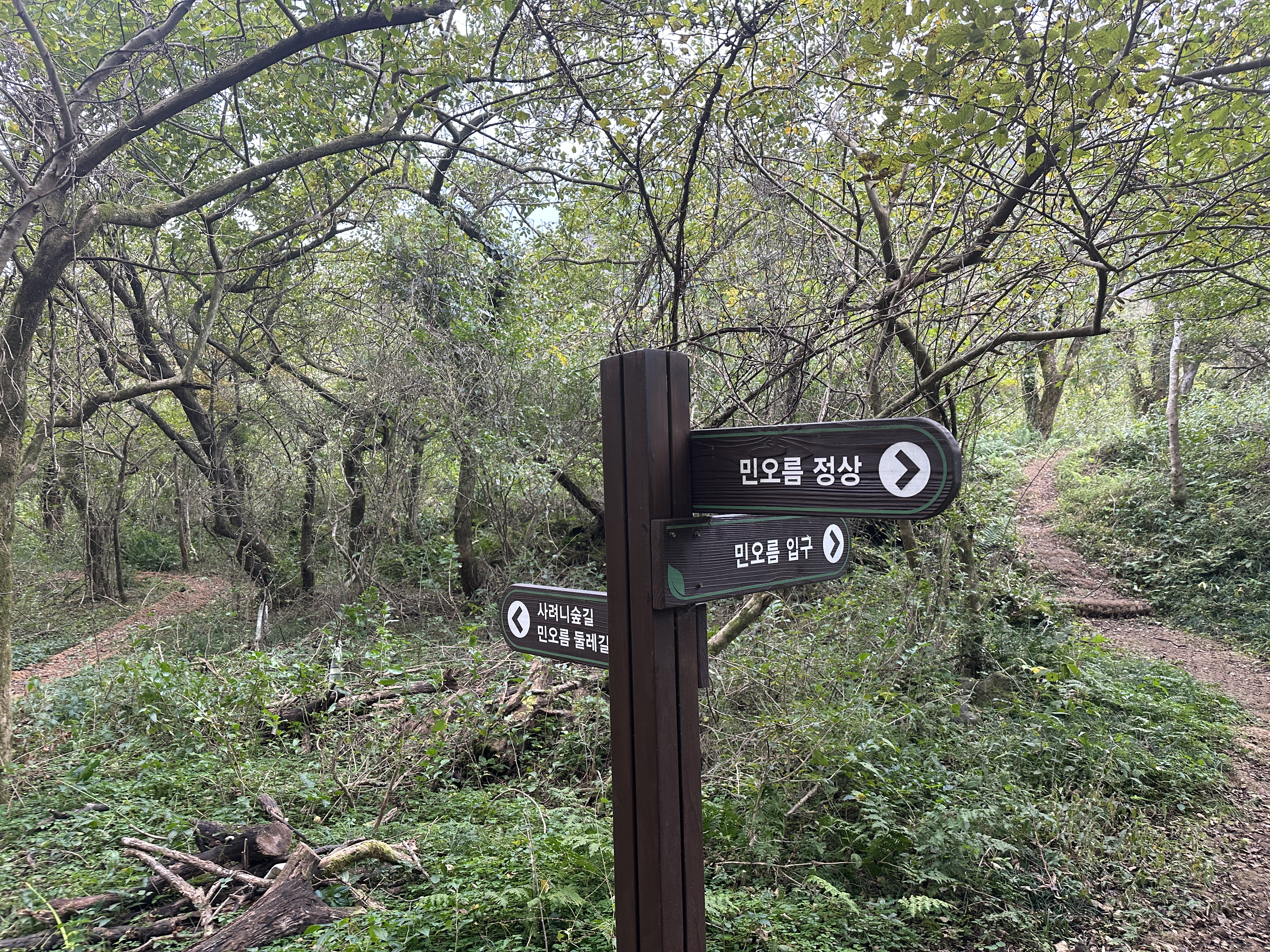 봉개동 민오름 정상