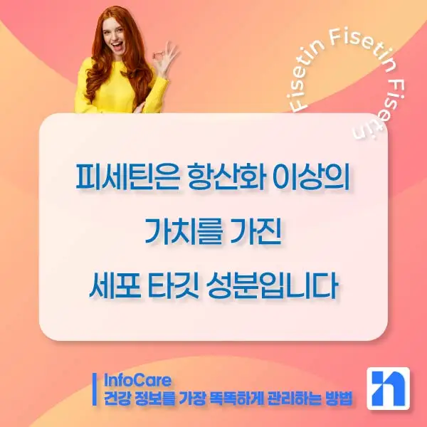 피세틴 효능 항산화 저속노화 노화방지 세놀리틱