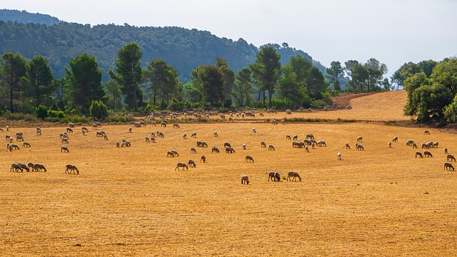 콜레스테롤 높으면 나타나는 증상 9