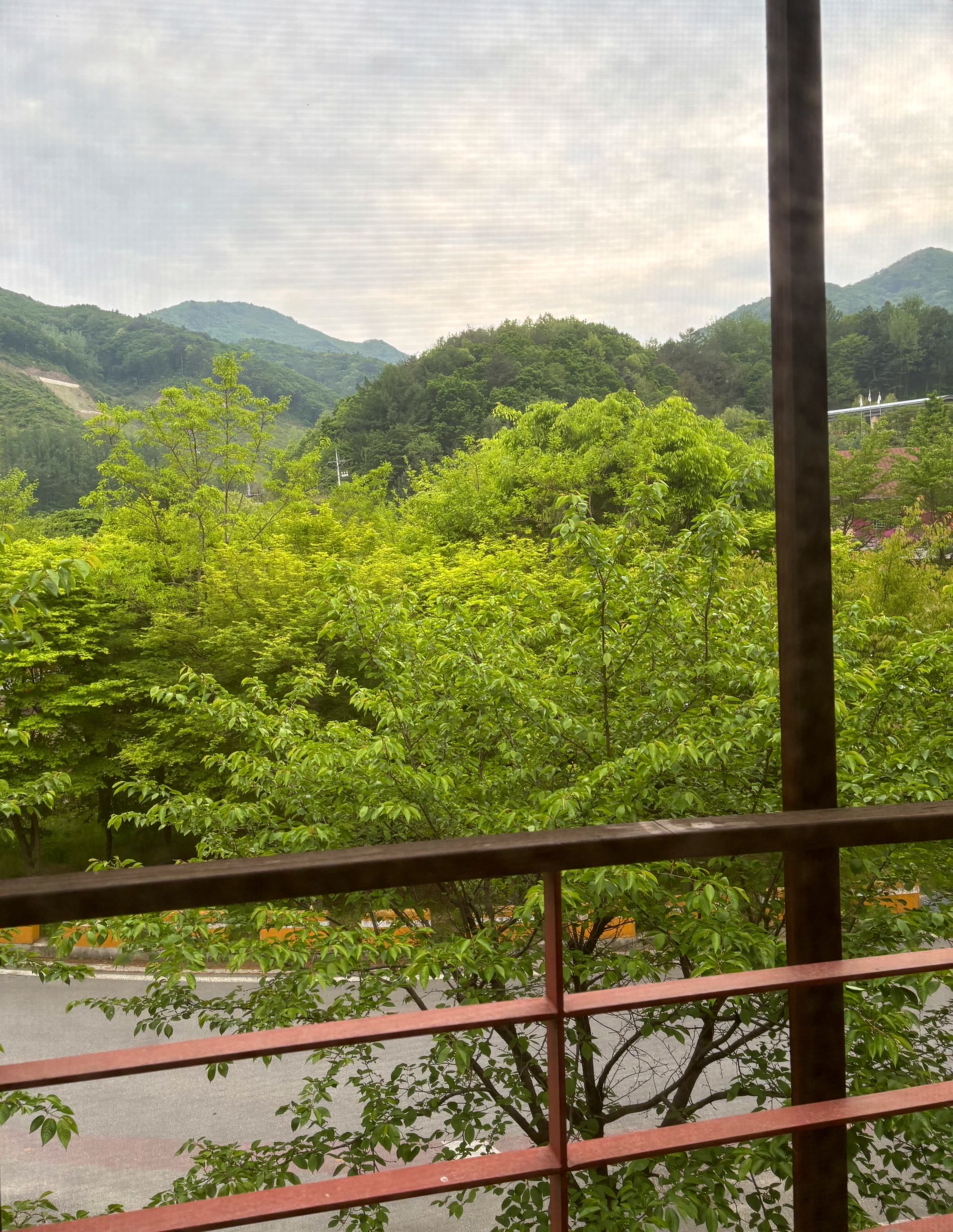 국립산림치유원 영주 숙소에서 본 풍경