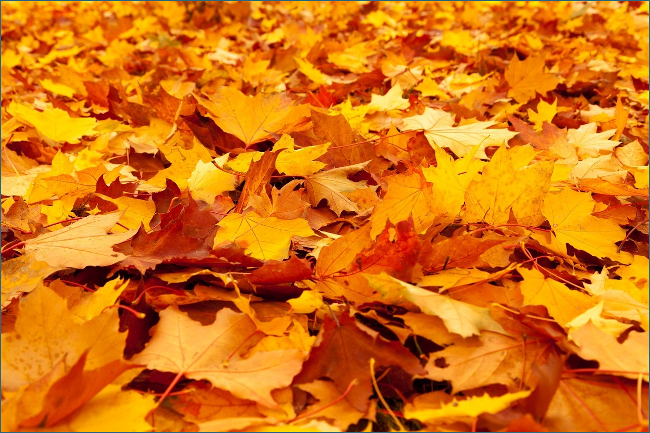 타자연습 바로가기