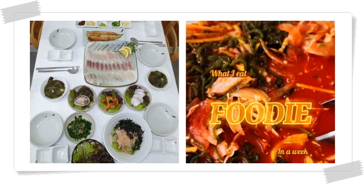 전현무계획2 강릉 짬뽕물회 자연산모둠회 후기