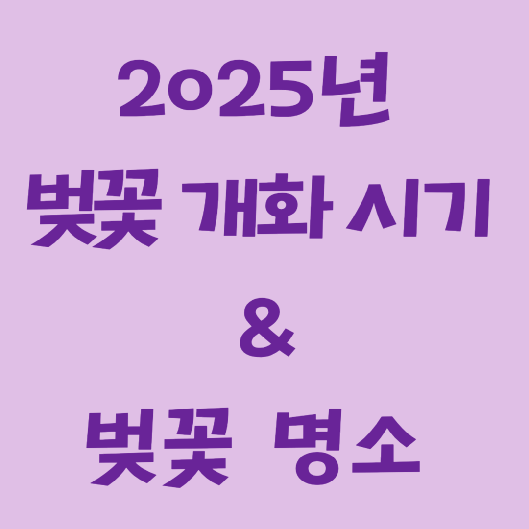 2025년 벚꽃개화시기 및 명소