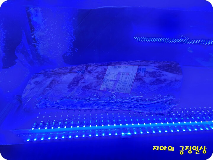 수비드중인 고기