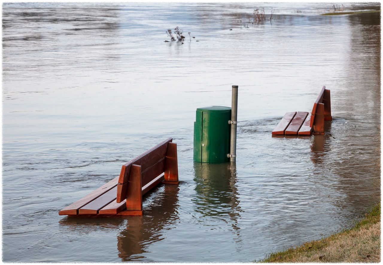 침수차량 구별법, 조회, 확인방법