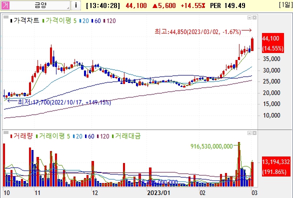 금양 주가