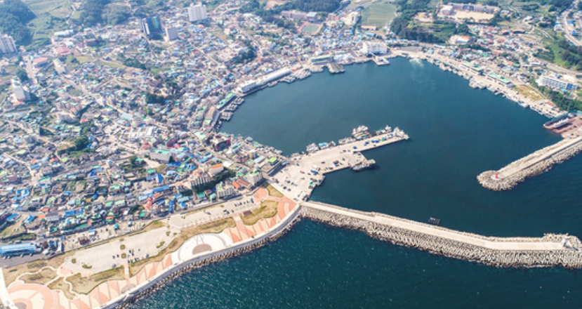 경주 감포항 축제 (전통문화, 해산물, 관광지)