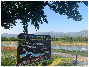 구례꽃강