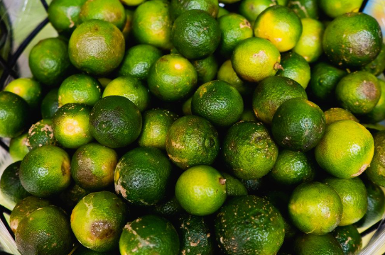 깔라만시_보관법