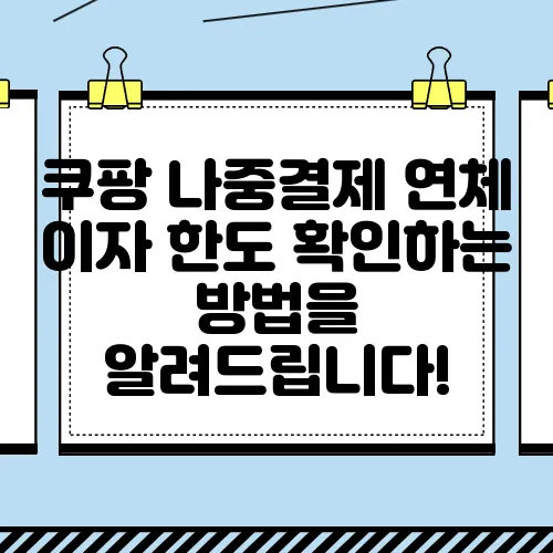 쿠팡 나중결제 연체 이자 한도 확인하는 방법을 알려드립니다!
