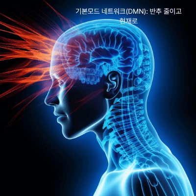 전전두피질과 감정 조절｜뇌과학으로 보는 수용의 원리