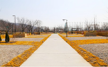 난지캠핑장 예약 방법 총정리! 가격, 시설, 이용 꿀팁까지