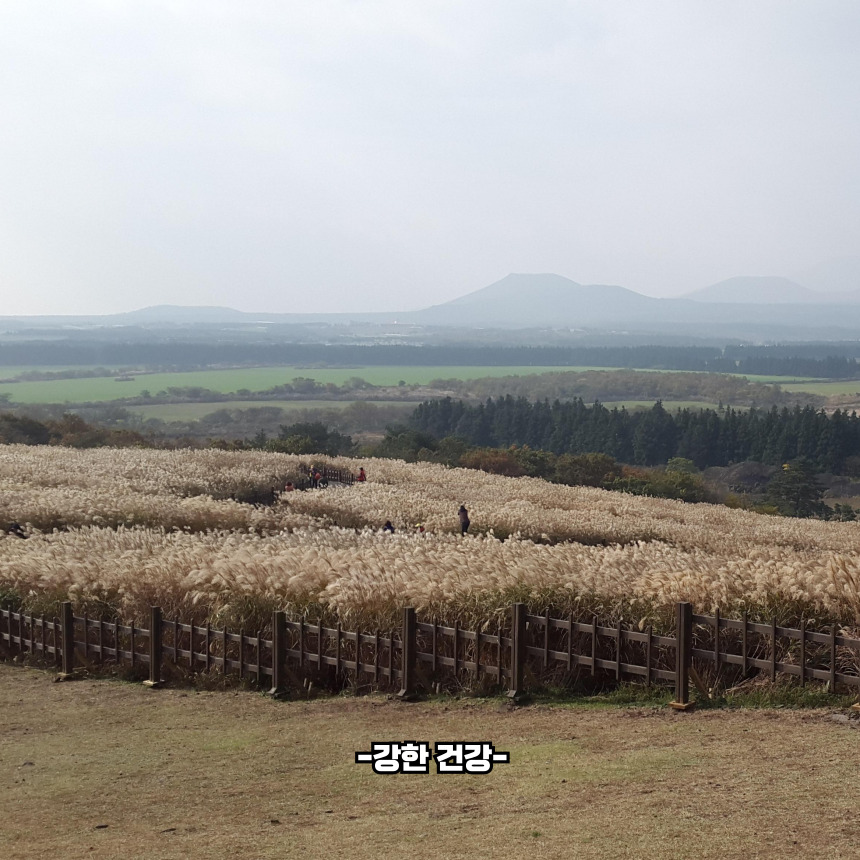 제주도 11월 가볼만한곳