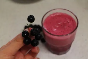 아로니아 먹는 가장 좋은 방법과 생 냉동 분말 활용 팁_16