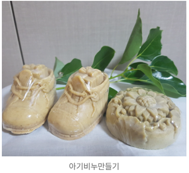 장흥 우드랜드 편백숲