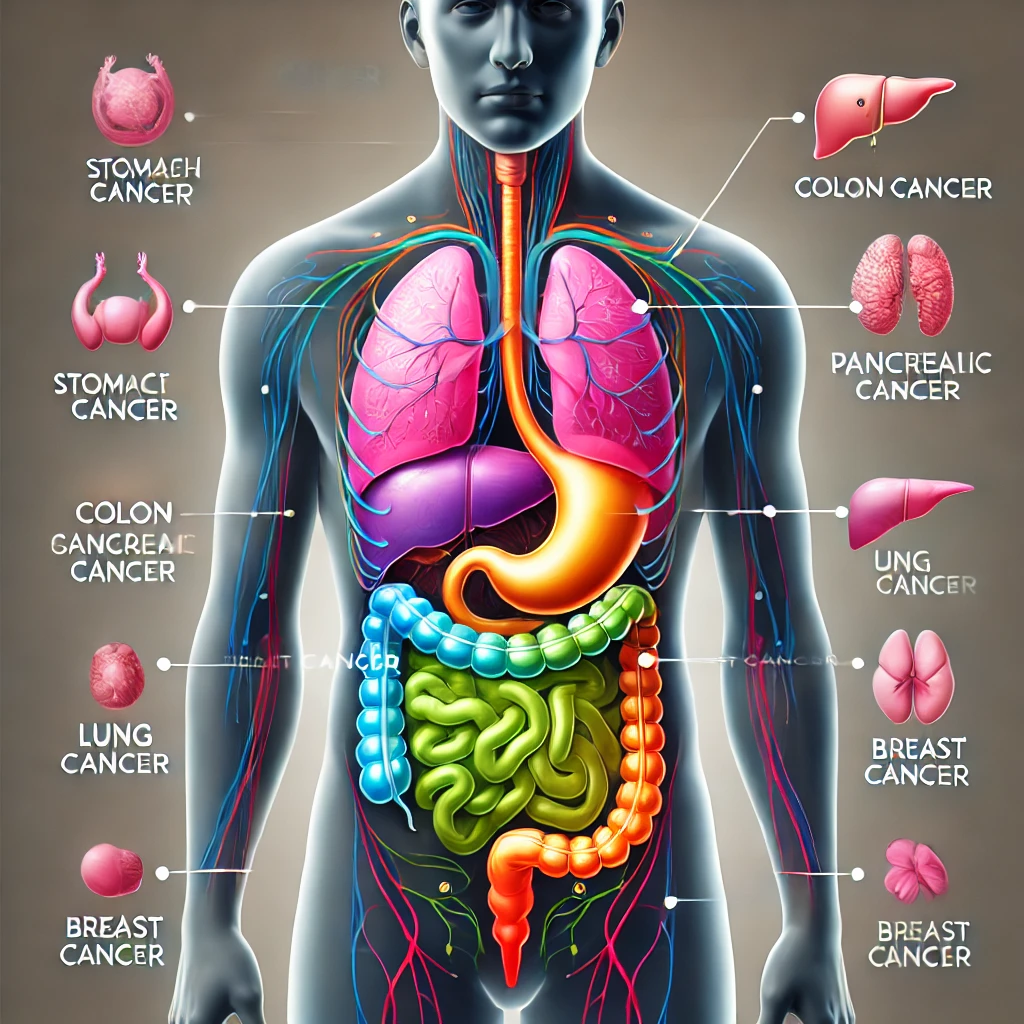 암종류의 위치와 유사암 비교