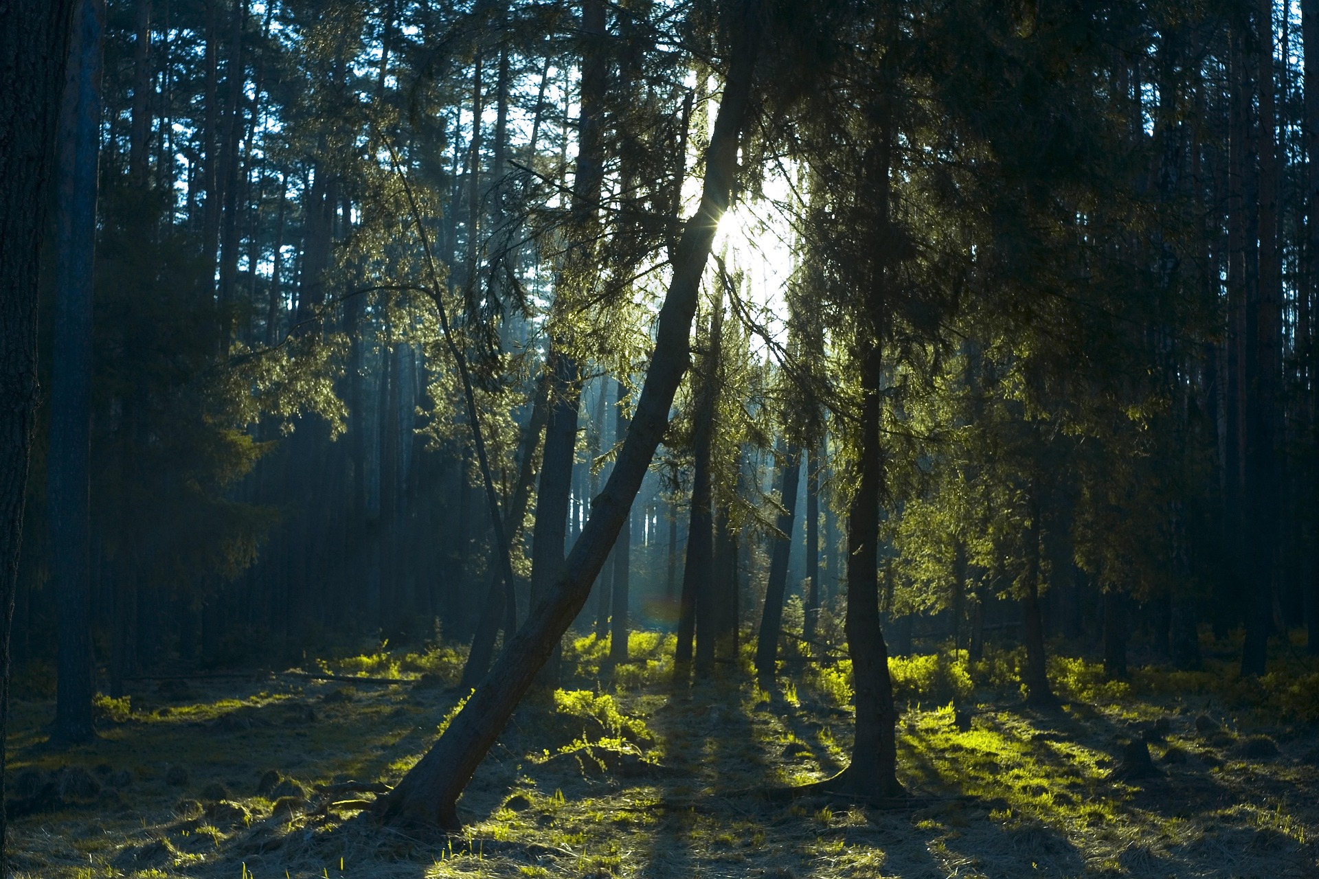 정리수납전문가 자격증