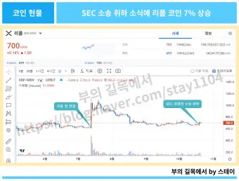 리플 승소 코인 시세 전망_14