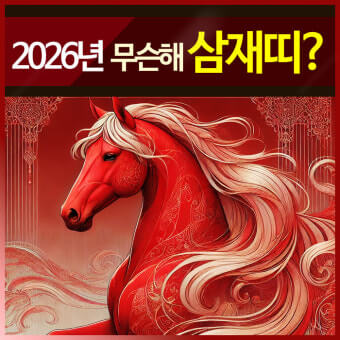 2026년 삼재띠