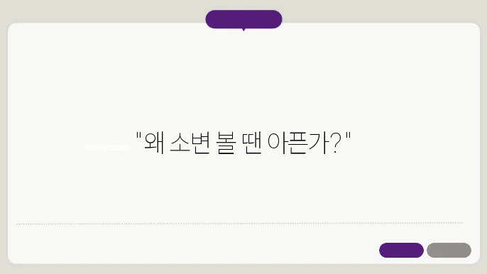 여자 소변볼때 통증 여성 배뇨통 낫지 않는 이유