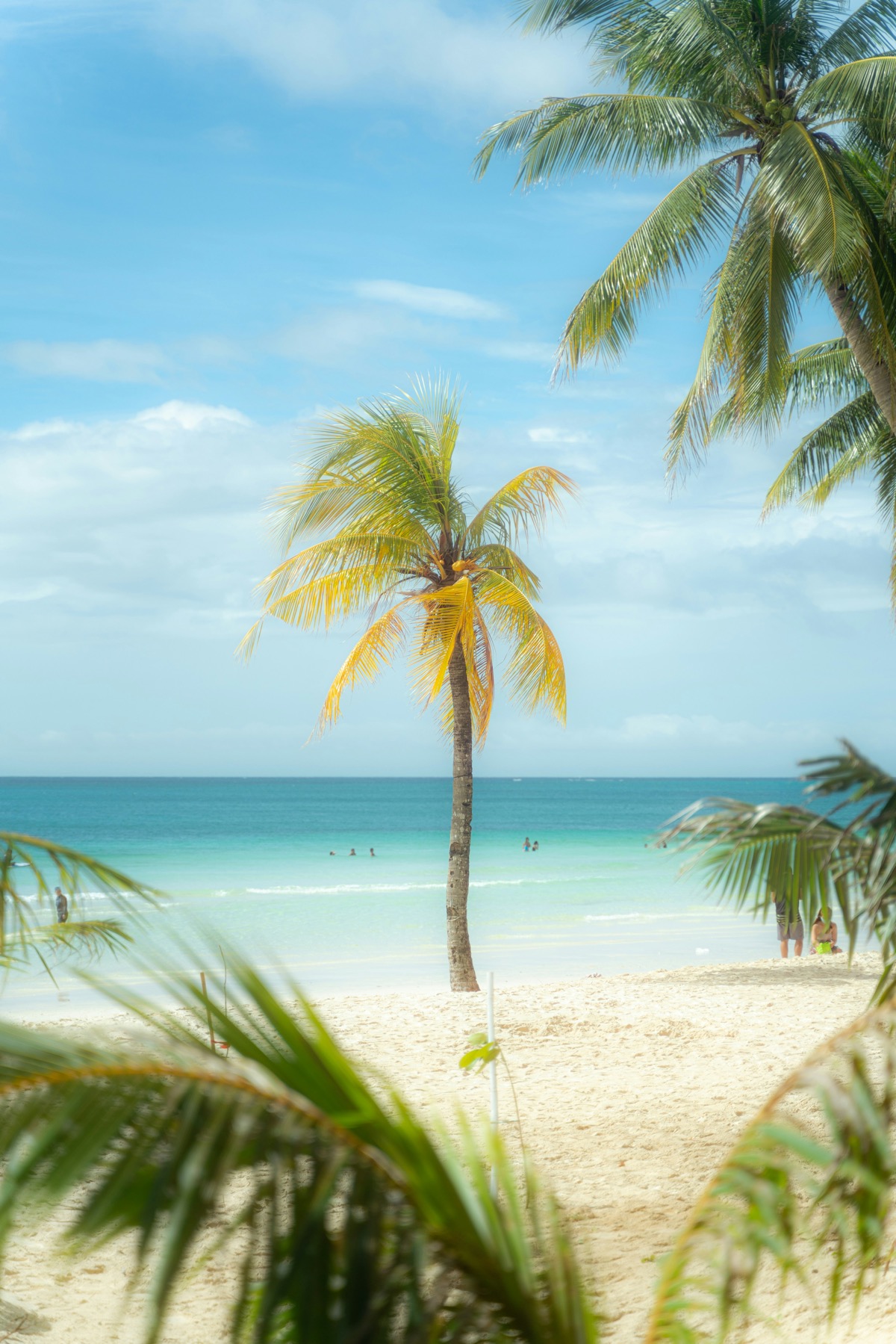 필리핀 보라카이 섬 해변 사진